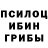 Галлюциногенные грибы прущие грибы DezertiyR