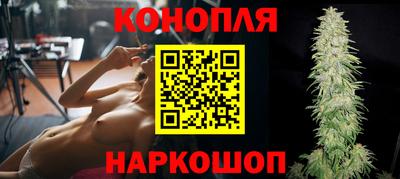 прущие грибы Апшеронск