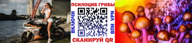 Галлюциногенные грибы мицелий  Апрелевка 