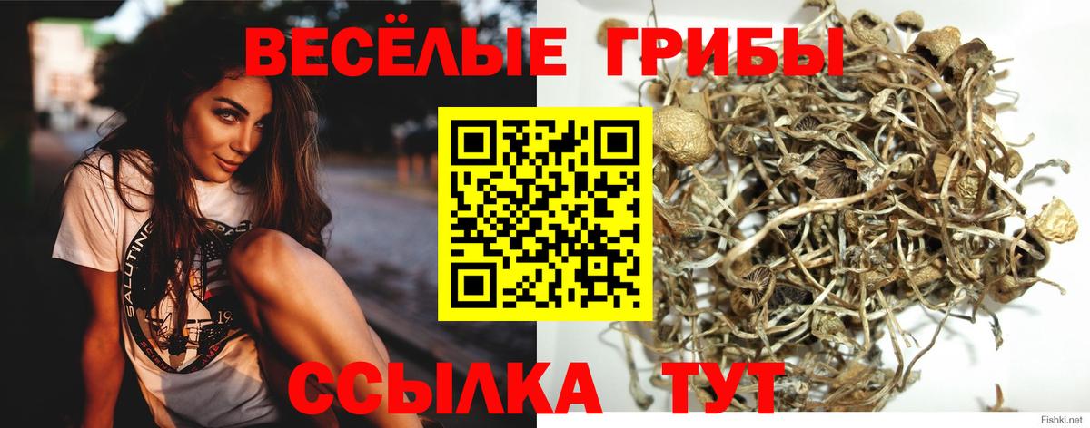 Галлюциногенные грибы прущие грибы Апрелевка